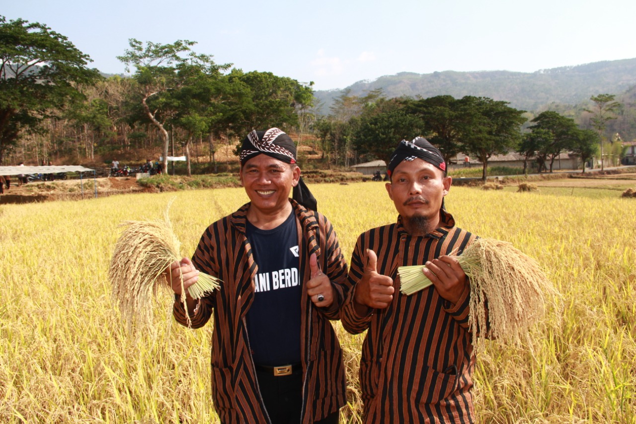 dompet dhuafa