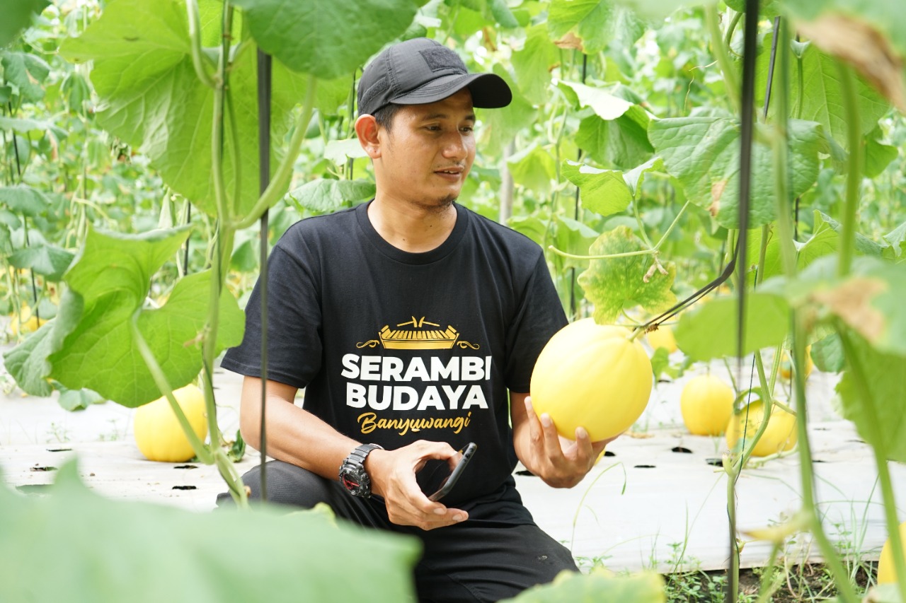dompet dhuafa