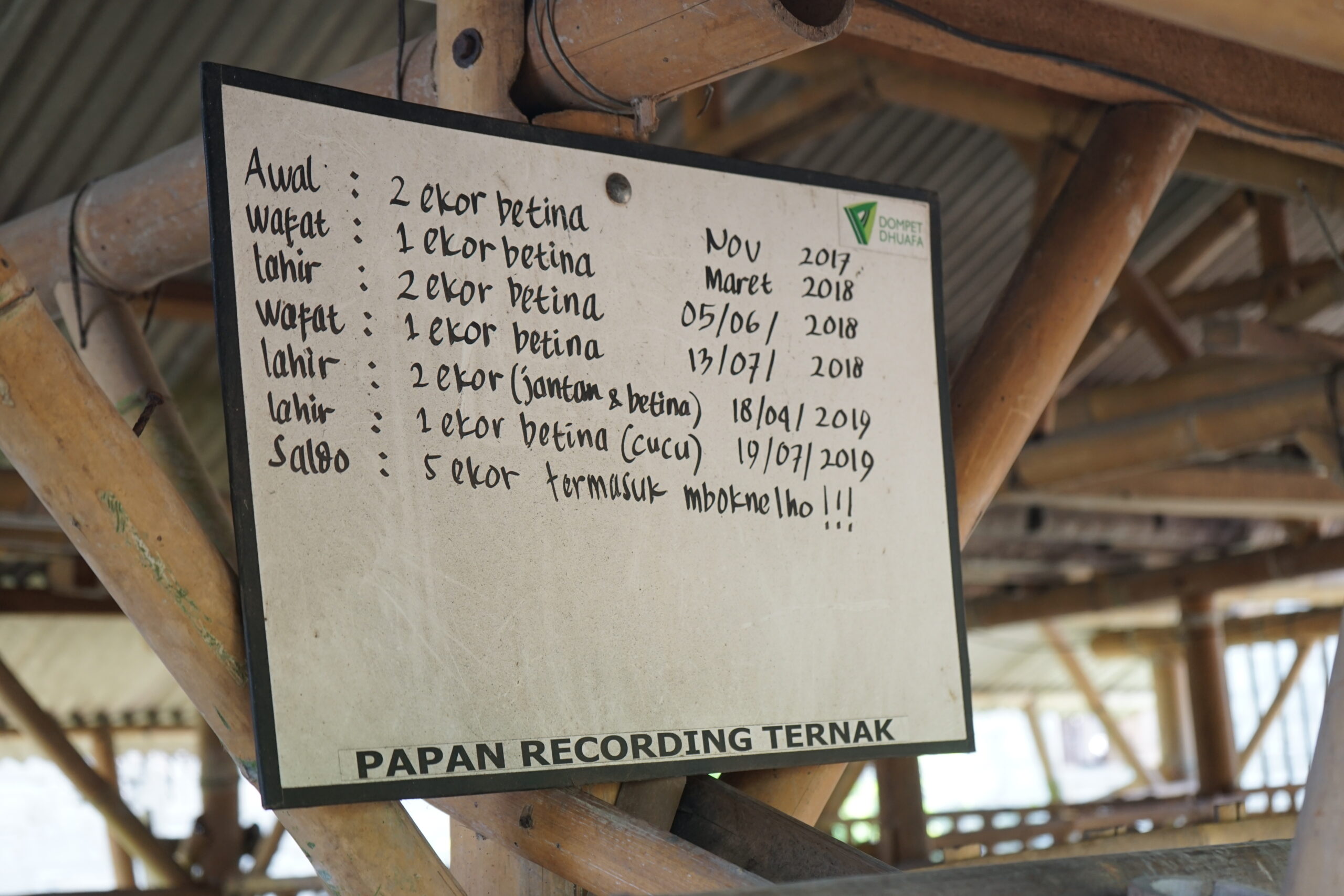 kampung ternak pundong2 dompet dhuafa