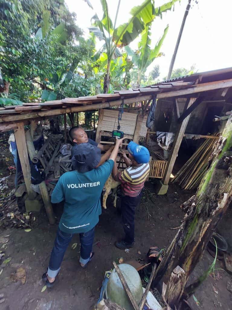 penimbangan hewan kurban dompet dhuafa