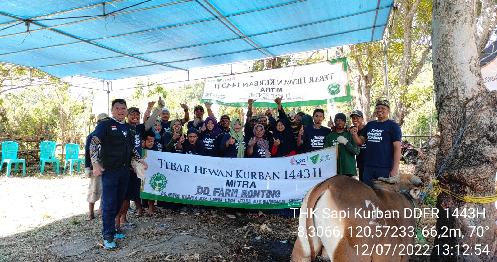 pelaksanaan kurban dd farm ronting dompet dhuafa