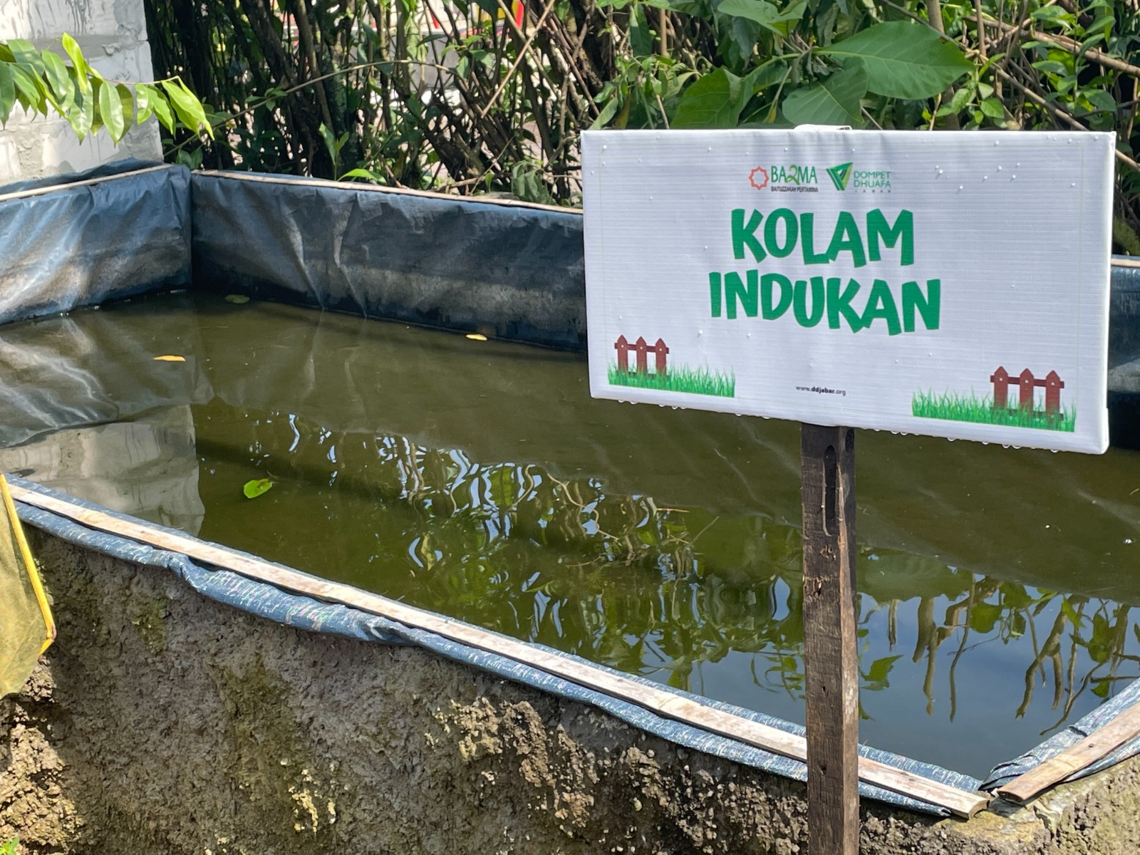 kampung ternak dan tani padu di wilayah cirebon6 dompet dhuafa