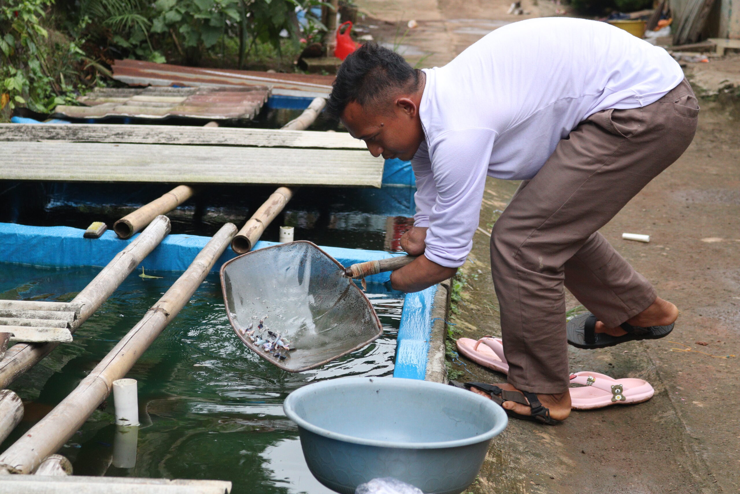 program dissabilitas mandiri beri bantuan modal usaha untuk pak jaelani6 dompet dhuafa