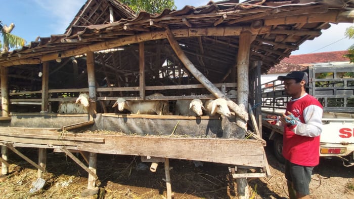 kis thk dompet dhuafa dompet dhuafa kis-thk-dompet-dhuafa