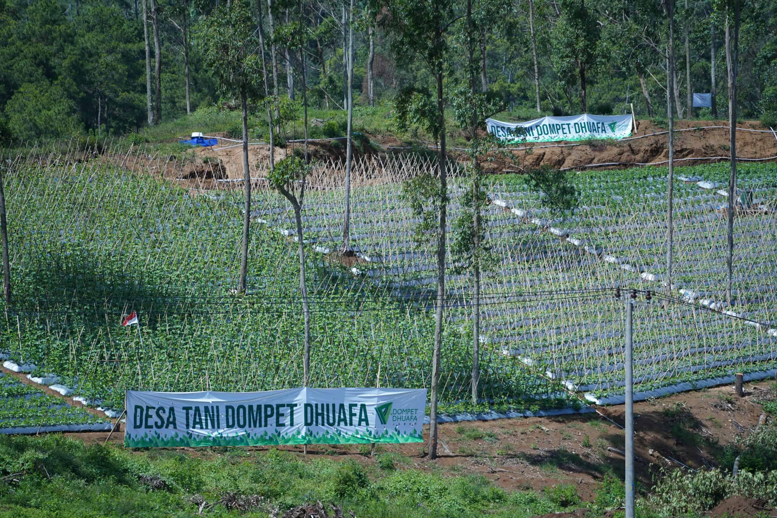 Desa Tani Dompet Dhuafa