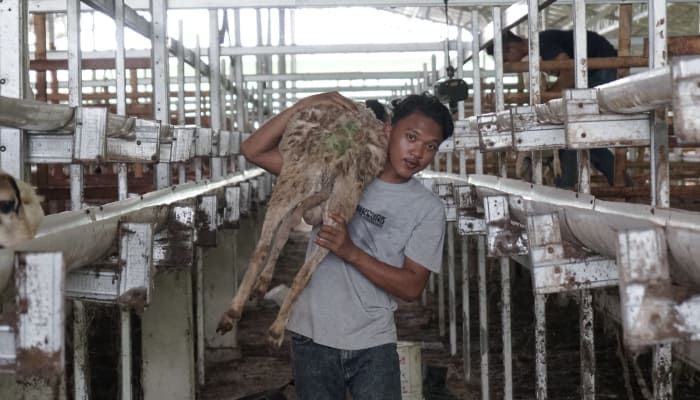 dd farm 2 dompet dhuafa dd-farm-untuk-thk-dompet-dhuafa-2023