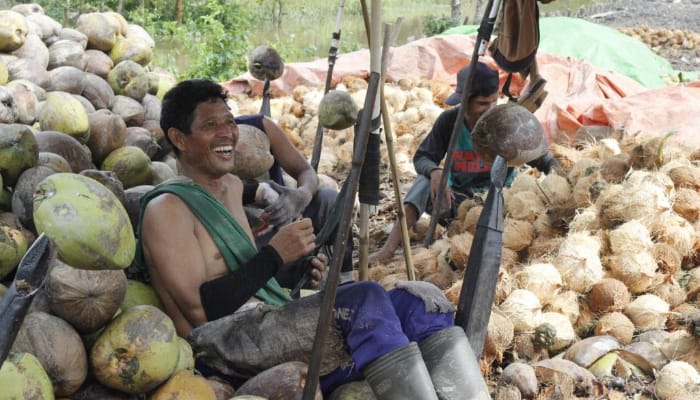 alumni bakti nusa dompet dhuafa berdayakan petani kelapa lokal