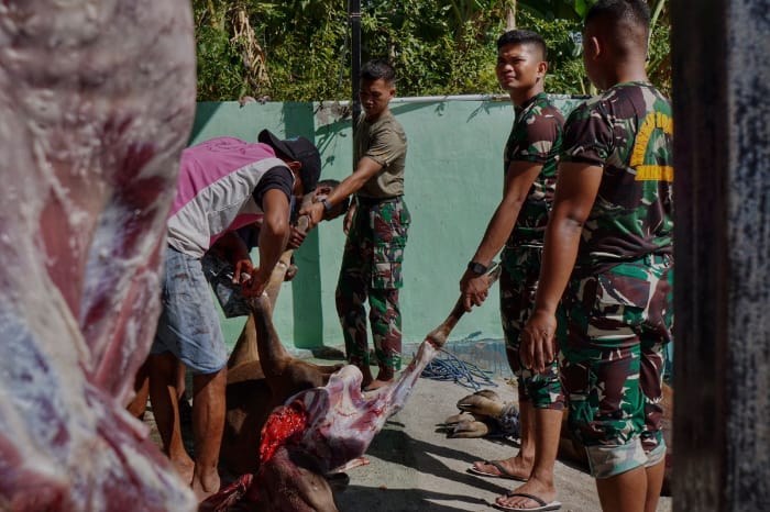 fotojet 15 dompet dhuafa tebar hewan kurban dompet dhuafa di perbatasan negeri