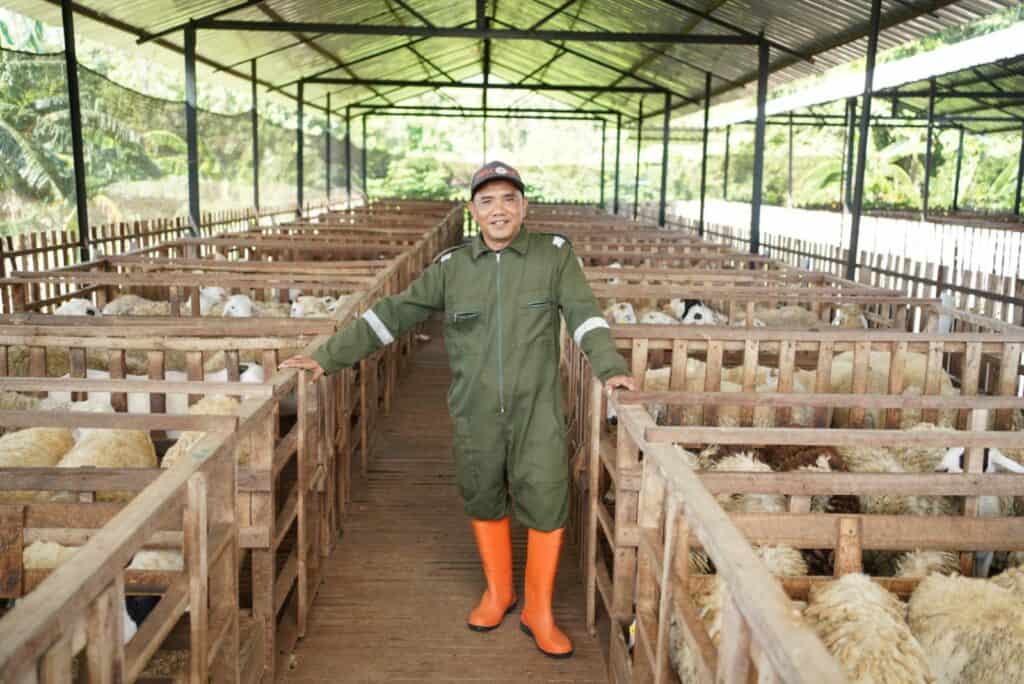 dd farm sudigda pemberdayaan eknomi dompet dhuafa Gabung DD Farm Sudigda Mampu Berdaya
