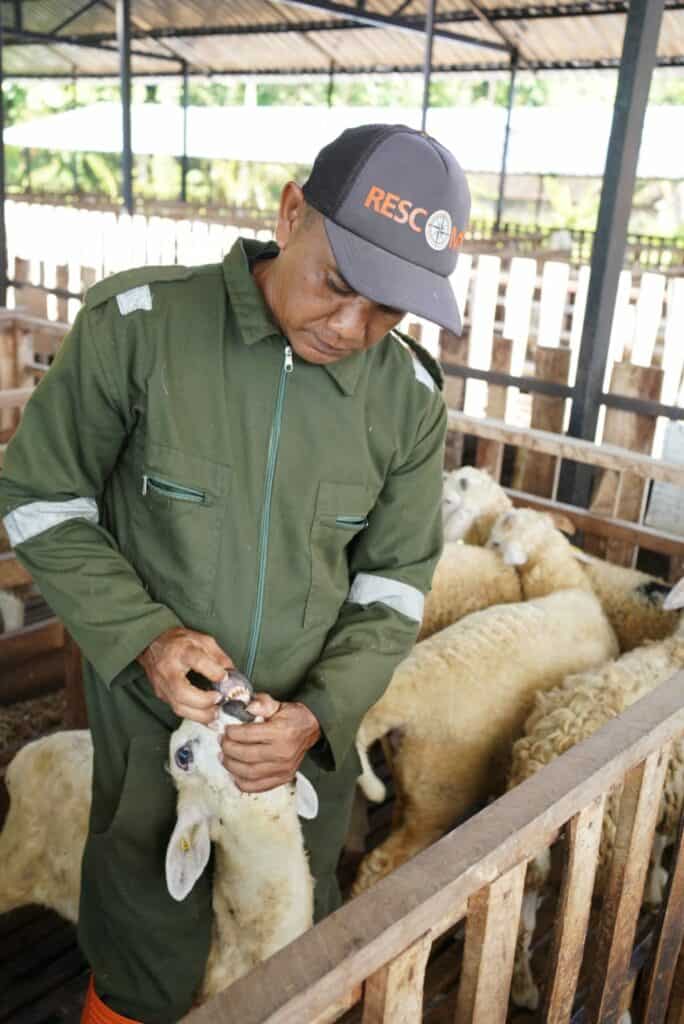 dd farm sudigda pemberdayaan eknomi dompet dhuafa Gabung DD Farm Sudigda Mampu Berdaya
