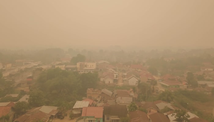 karhutla jambi 2019 1 dompet dhuafa Karhutla Jambi 2019