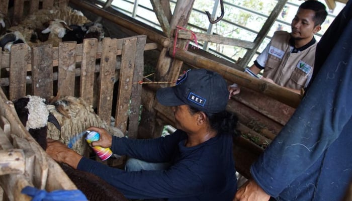 Dompet Dhuafa laksanakan QC hewan kurban di Sukabumi