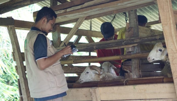 Dompet Dhuafa bantu peternak lokal berdaya
