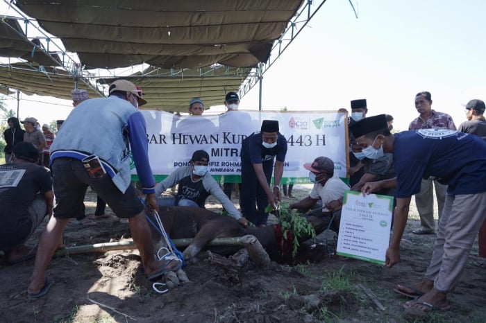 rekam jejak thk di sumbawa 4 dompet dhuafa rekam jejak THK di Sumbawa