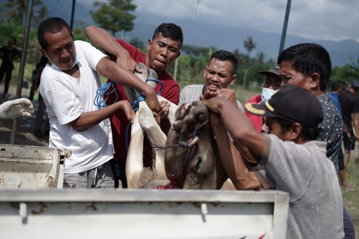 rekam jejak thk di sumbawa 6 dompet dhuafa rekam jejak THK di Sumbawa