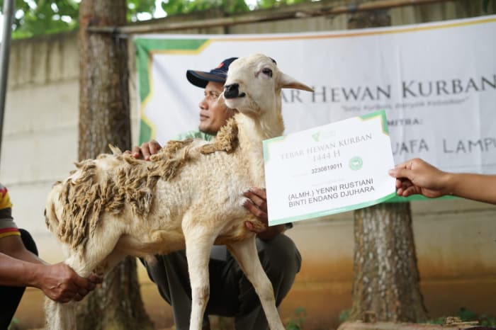 tebar hewan kurban dompet dhuafa di tulung agung lampung 1 dompet dhuafa tebar hewan kurban dompet dhuafa di tulung agung lampung