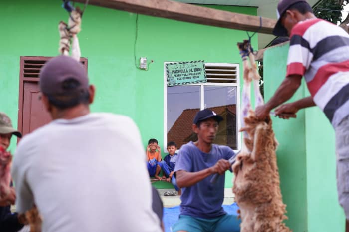 tebar hewan kurban dompet dhuafa di tulung agung lampung 5 dompet dhuafa tebar hewan kurban dompet dhuafa di tulung agung lampung