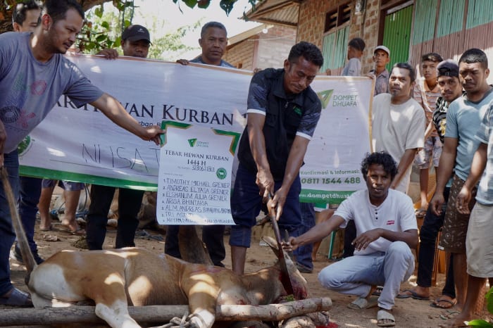 thk kurban pulau solor ntt dompet dhuafa Program THK Dompet Dhuafa sambangi Pulau Solor