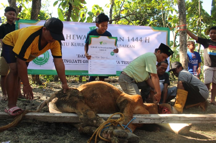 sedekah daging dompet dhuafa di grobogan