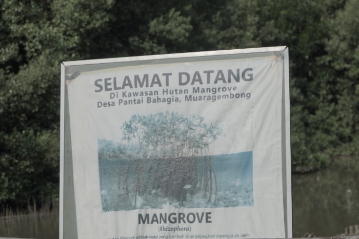 DMC Dompet Dhuafa bersama para stakeholder tanam mangrove di Muara Gembong Bekasi