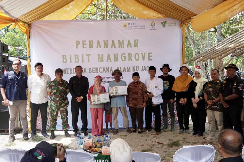 tanam mangrove 10 dompet dhuafa Dompet Dhuafa 1000 Mangrove