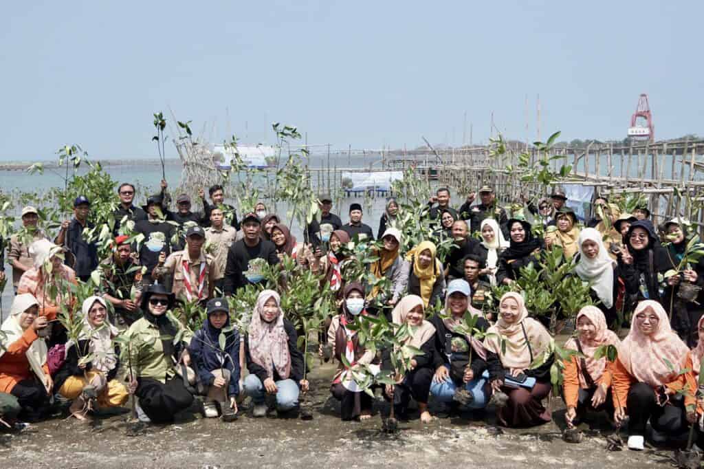 tanam mangrove 4 dompet dhuafa Dompet Dhuafa 1000 Mangrove
