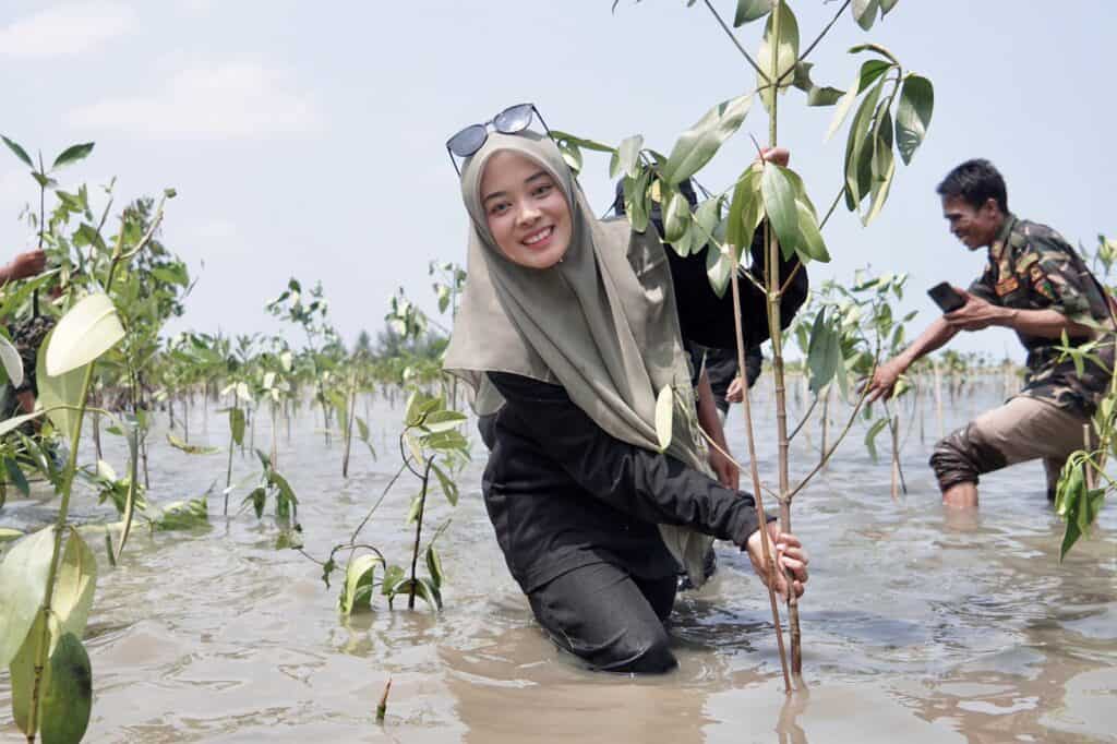 tanam mangrove 6 dompet dhuafa Dompet Dhuafa 1000 Mangrove