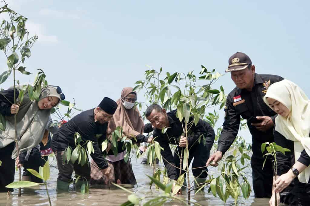 tanam mangrove 7 dompet dhuafa Dompet Dhuafa 1000 Mangrove