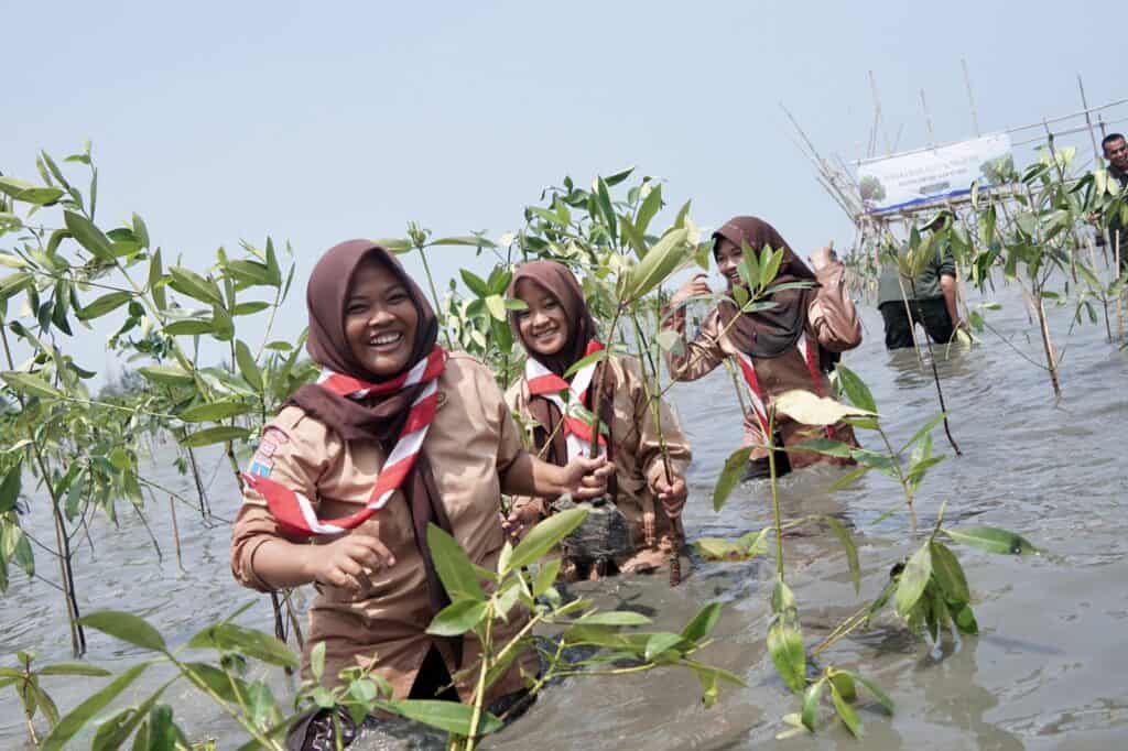 tanam mangrove 8 dompet dhuafa Dompet Dhuafa 1000 Mangrove