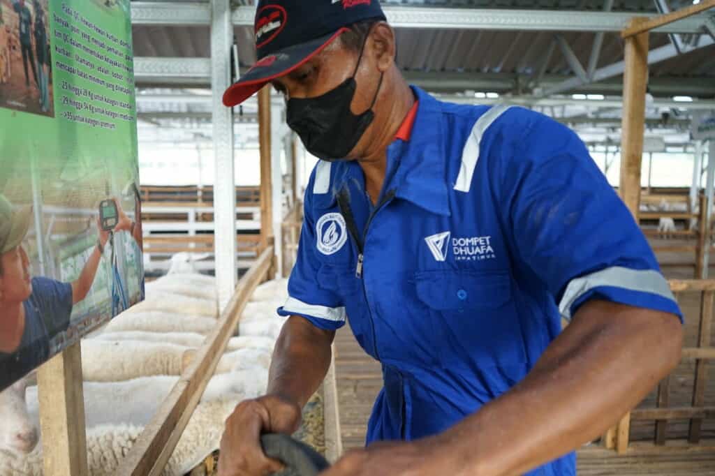 DD Farm Madiun Implementasi Zakat Produktif (3)