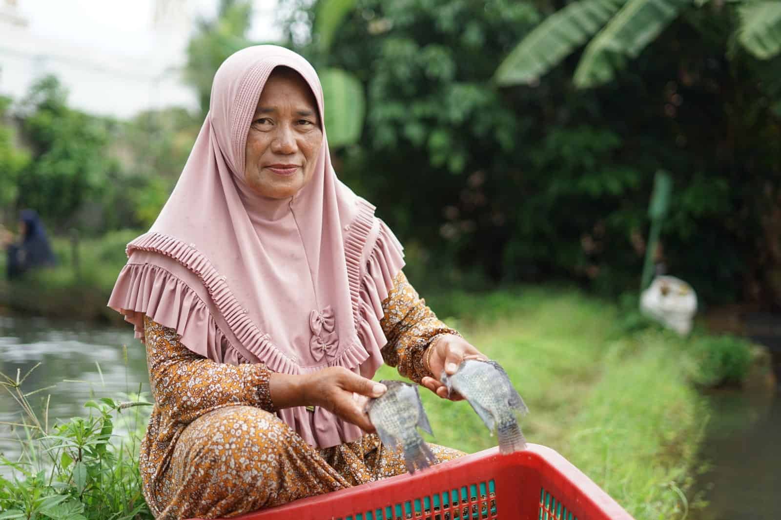 Program Kampuang Nila Dompet Dhuafa, budi daya ikan nila.