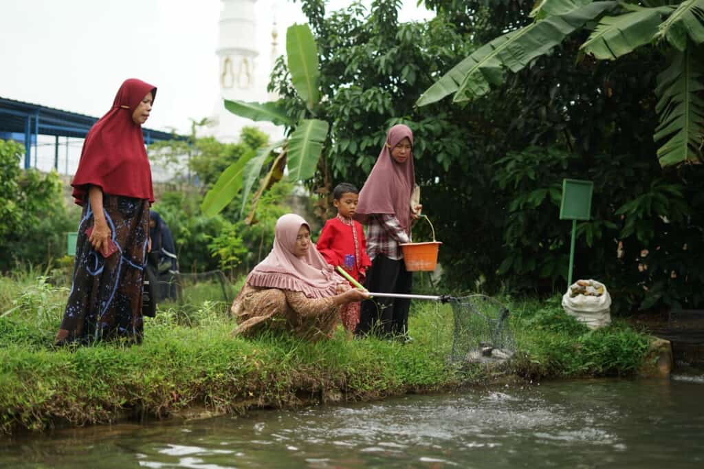 Program Kampuang Nila Dompet Dhuafa, budi daya ikan nila.