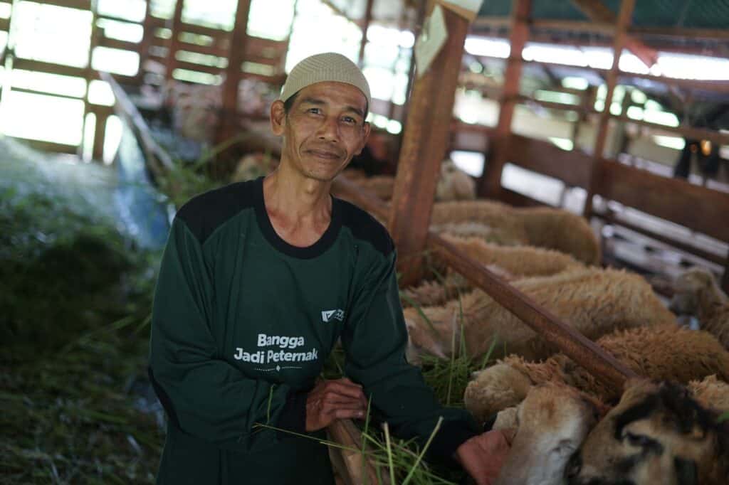 Ali Akbar, dari relawan jadi peternak di DD Farm Rumah Gadang