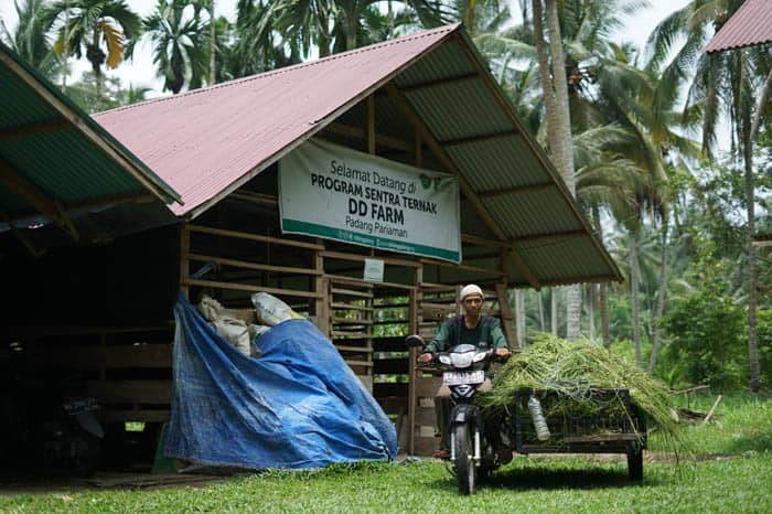 Ali Akbar, dari relawan jadi peternak di DD Farm Rumah Gadang