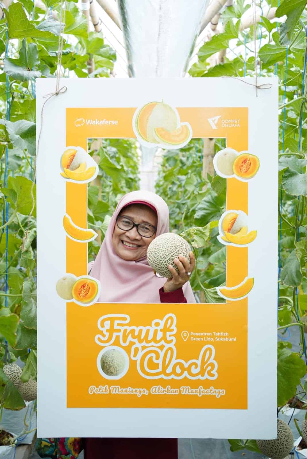 Panen Raya Melon "Fruit O'Clock" di Greenhouse PTGL, Sukabumi