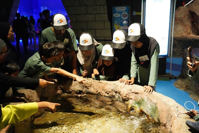 Little Explorer Ancol 2023