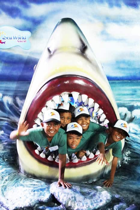 Little Explorer Ancol 2023