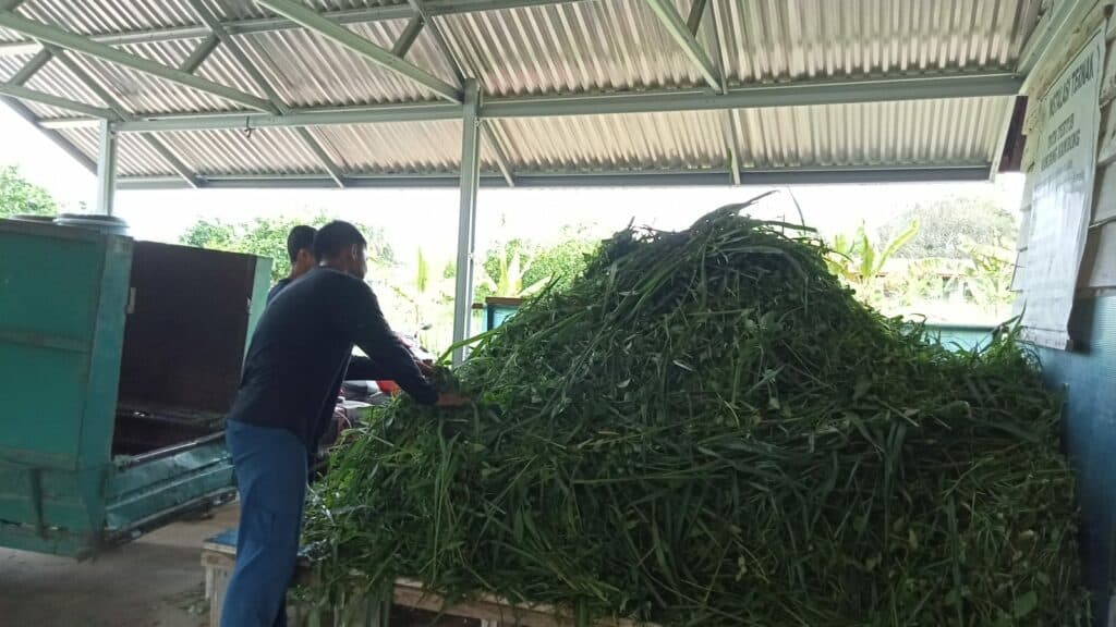 pertanian2 dompet dhuafa penerima beasiswa pelajar berdaya asah keterampilan membuat silase