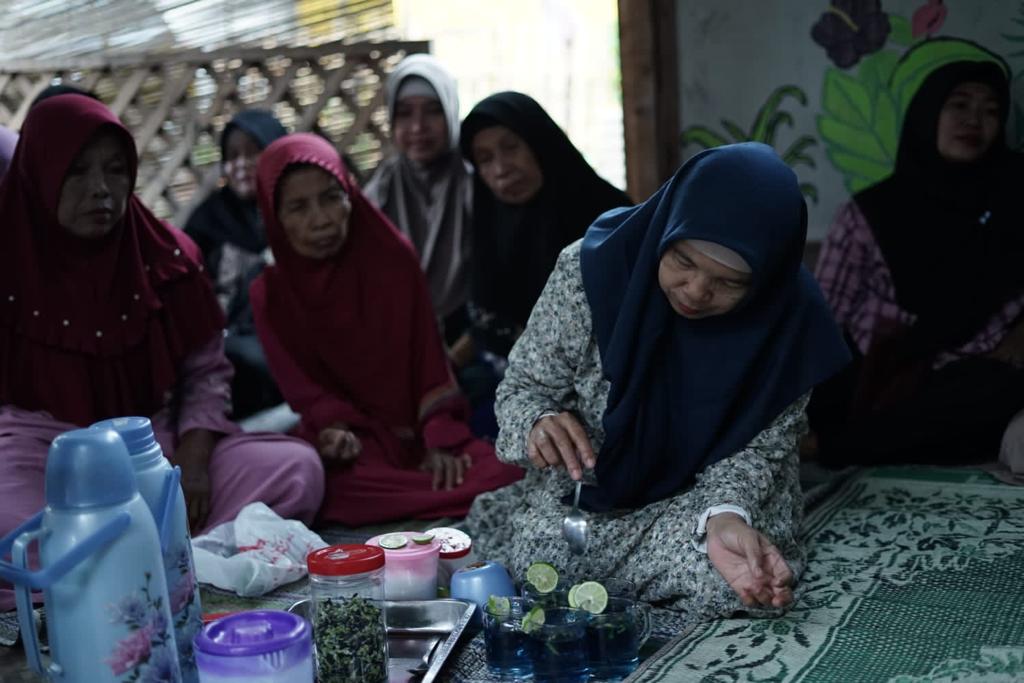 Budi daya teh bunga telang