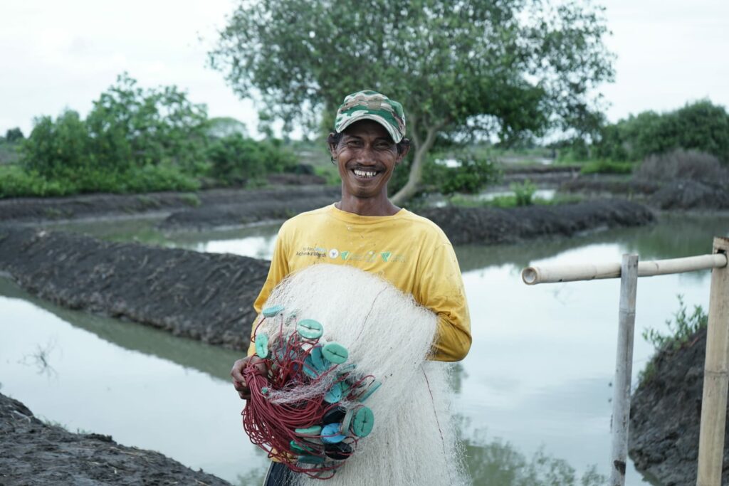 Budi Daya Ikan Bandeng