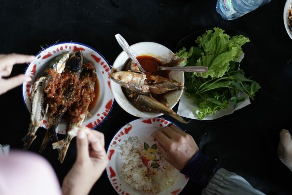 Budi Daya Ikan Bandeng