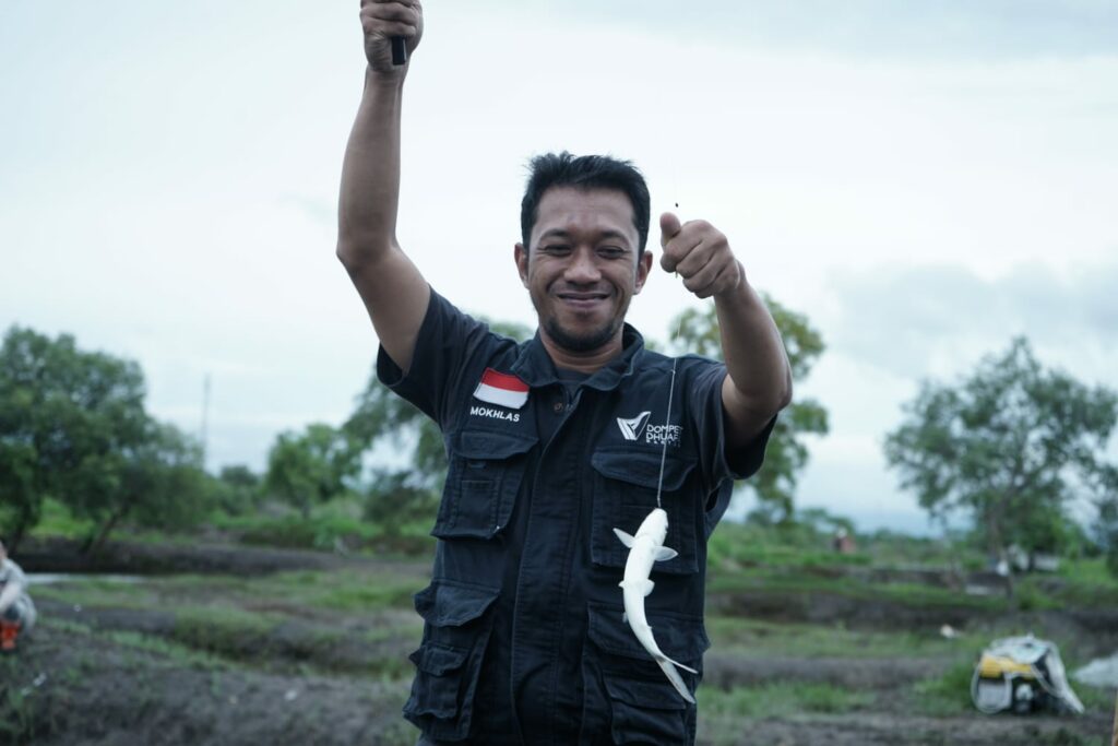 Budi Daya Ikan Bandeng