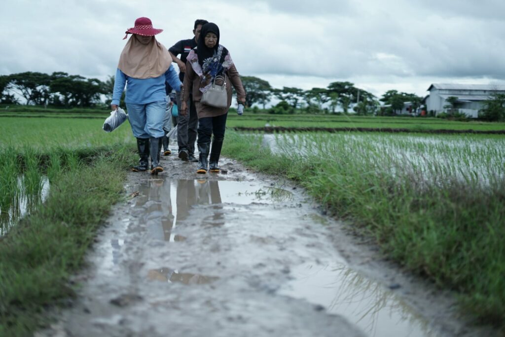 Mancing Bandeng Zakat Produktif