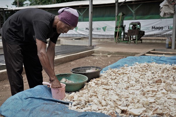 budi daya maggot3 dompet dhuafa Budi daya maggot, Maggotin