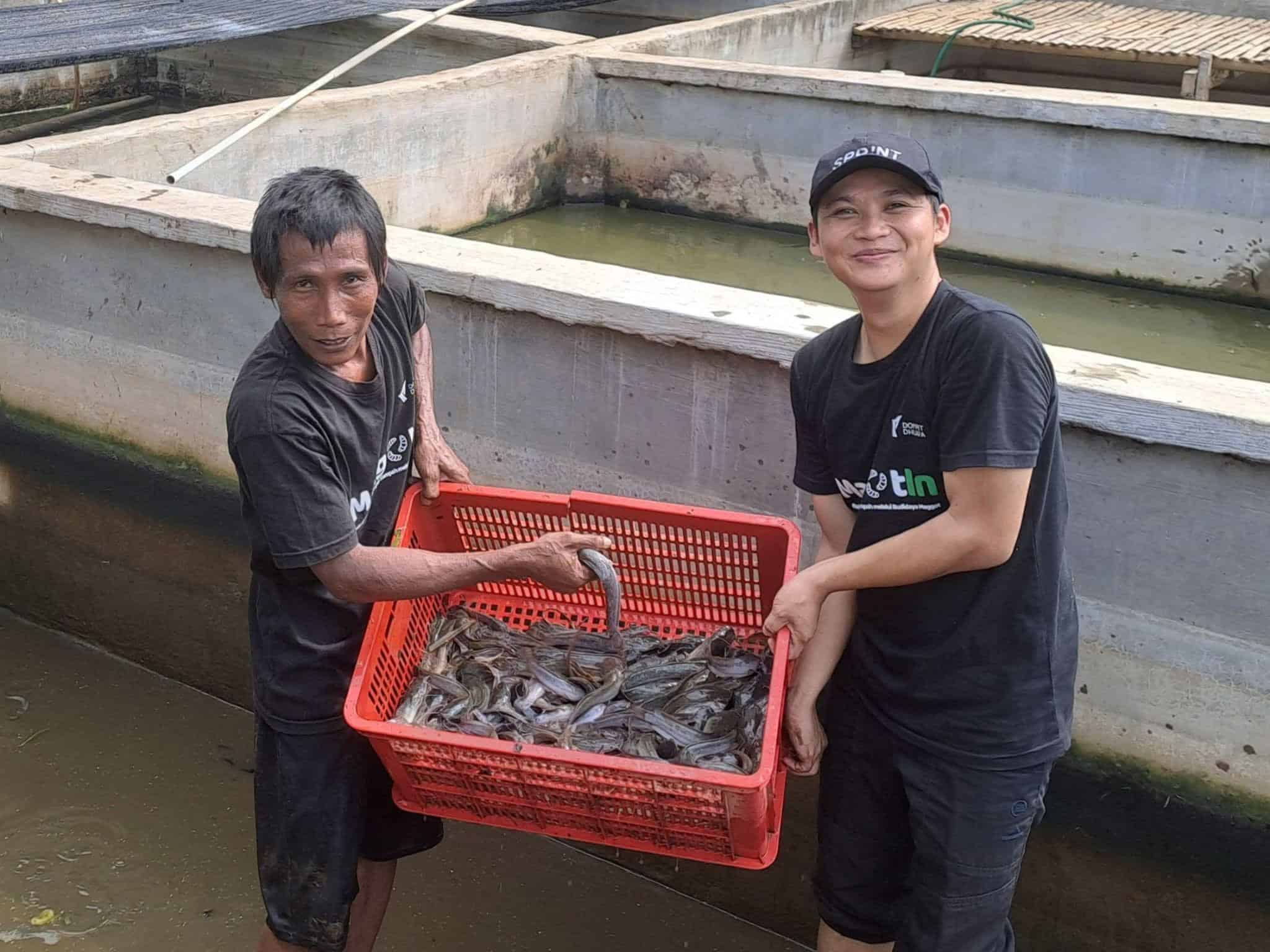 panen di kandang maggotin lampung1 dompet dhuafa Panen di Kandang Maggotin Lampung