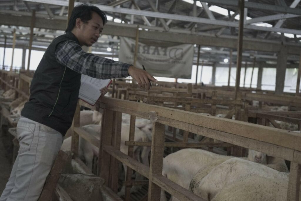 qc pastikan hewan kurban sesuai standar7 dompet dhuafa QC THK, pastikan hewan kurban sesuai standar