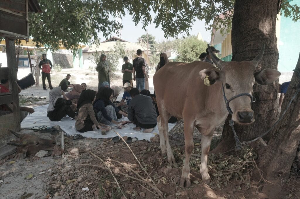 kurban dan cita pendidikan tinggi di ntt 2 dompet dhuafa Seluruh elemen kampus mulai dari dosen, mahasiswa, hingga warga sekitar STAI Kupang bergotong-royong untuk melaksanakan penyembelihan hingga distribusi daging kurban.