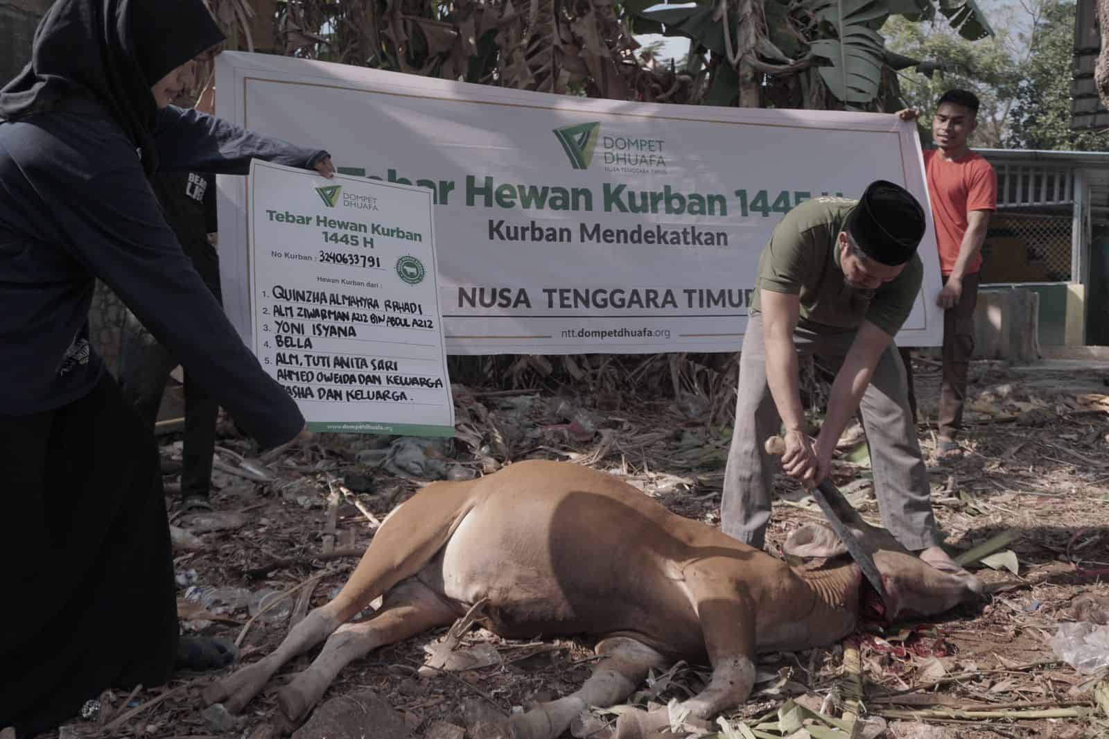kurban dan cita pendidikan tinggi di ntt 6 dompet dhuafa