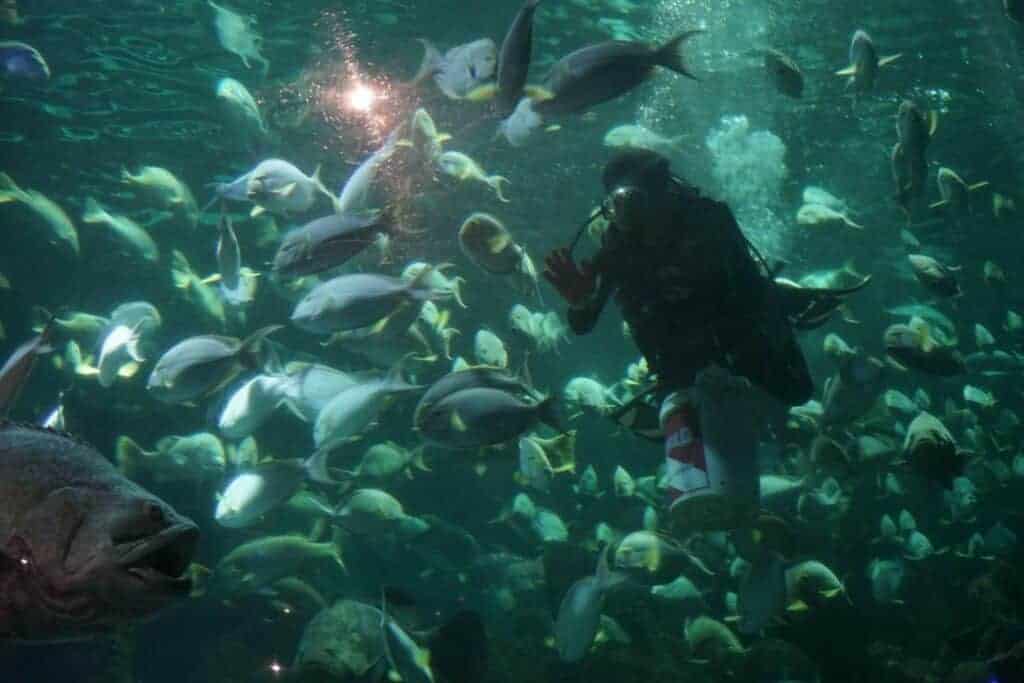 pejuangsehatsheltersehatitripkeseaworld41024x683 dompet dhuafa