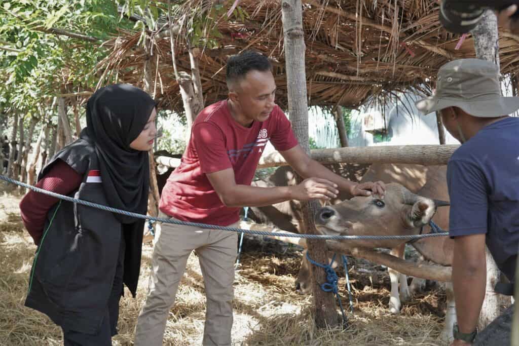refleksi hidup ocha nugraha10 dompet dhuafa Refleksi Hidup Ocha Nugraha saat mengikuti proses QC hewan kurban bersama Dompet Dhuafa di NTT.